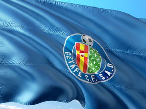 开云体育下载-法国网球队轻取西班牙网球队，穆雷完成帽子戏法