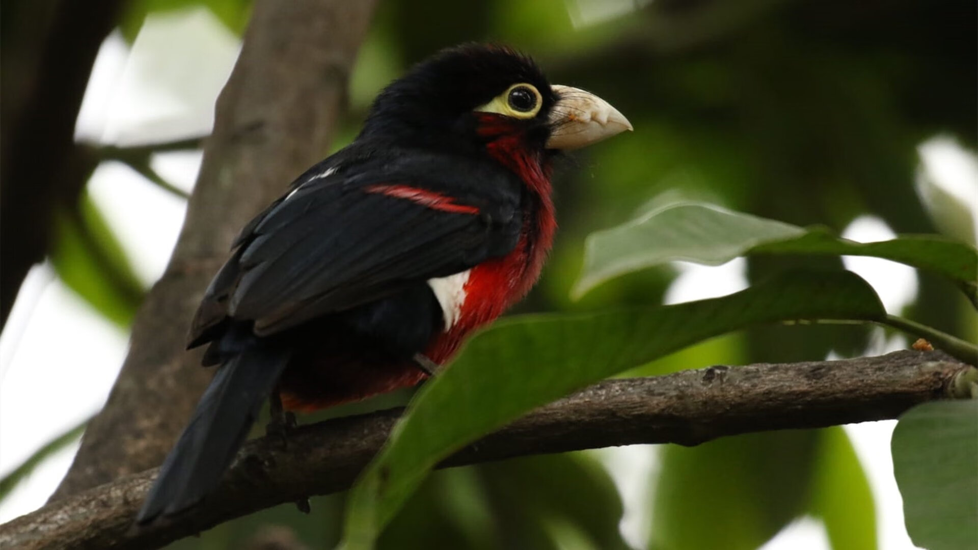 开云体育官方网站-欧冠淘汰赛夜，满屏却刷詹姆斯10分，体育的魅力，正在跨越圈层的破壁