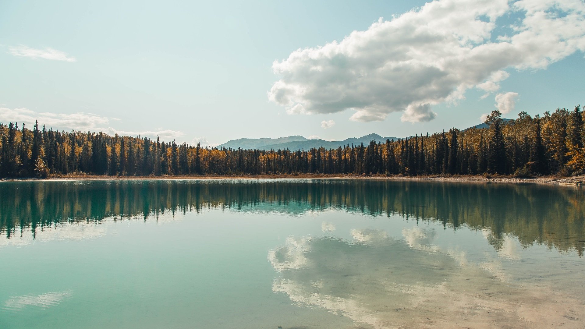 开云体育APP下载-钢铁防线，莫兰特锁死国王核心，骑士晋级背后的隐形功臣