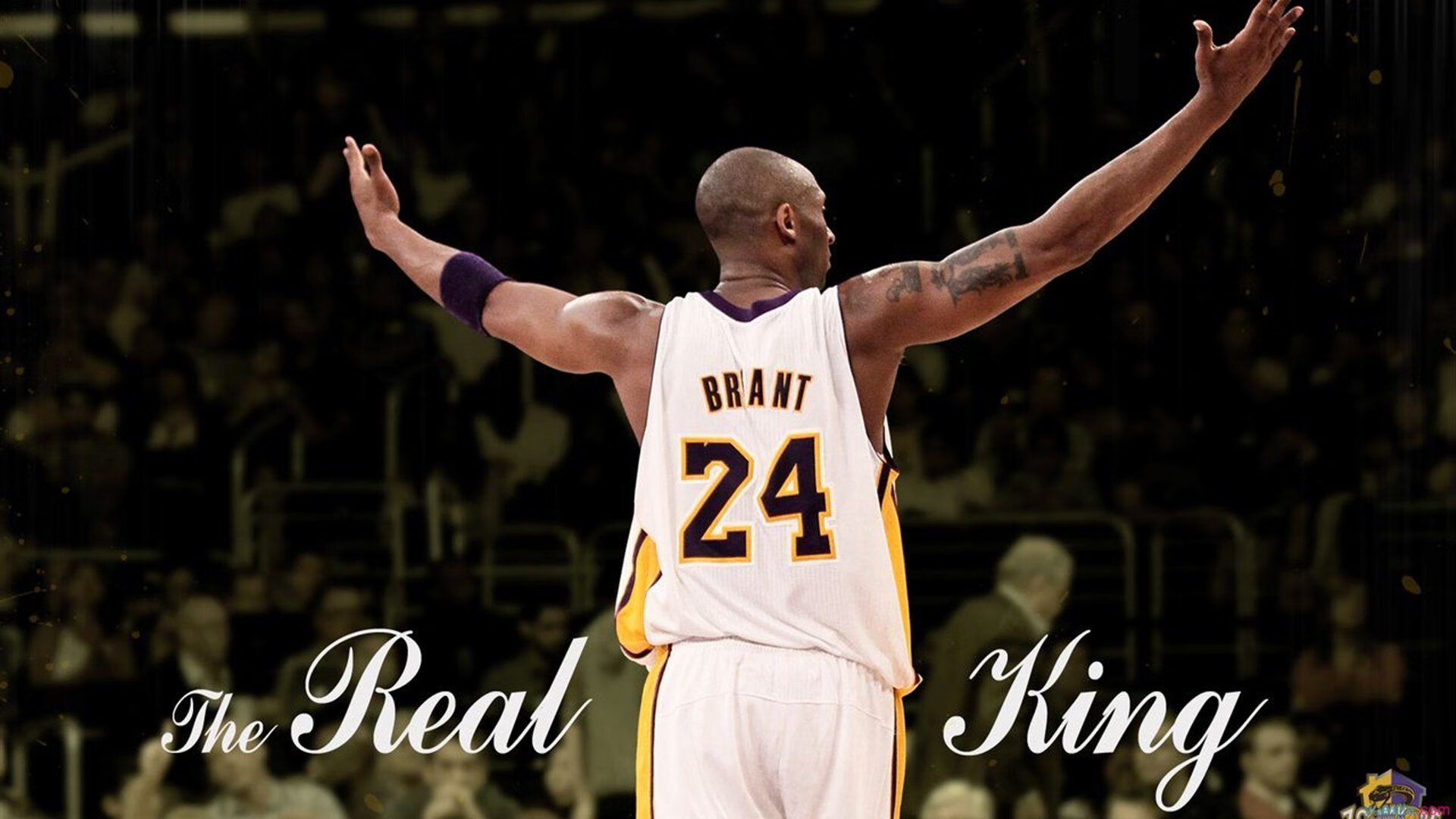 戈麦斯,总决赛夜的心脏起搏器